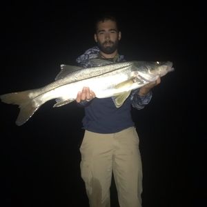 Meet your Posher, Keith